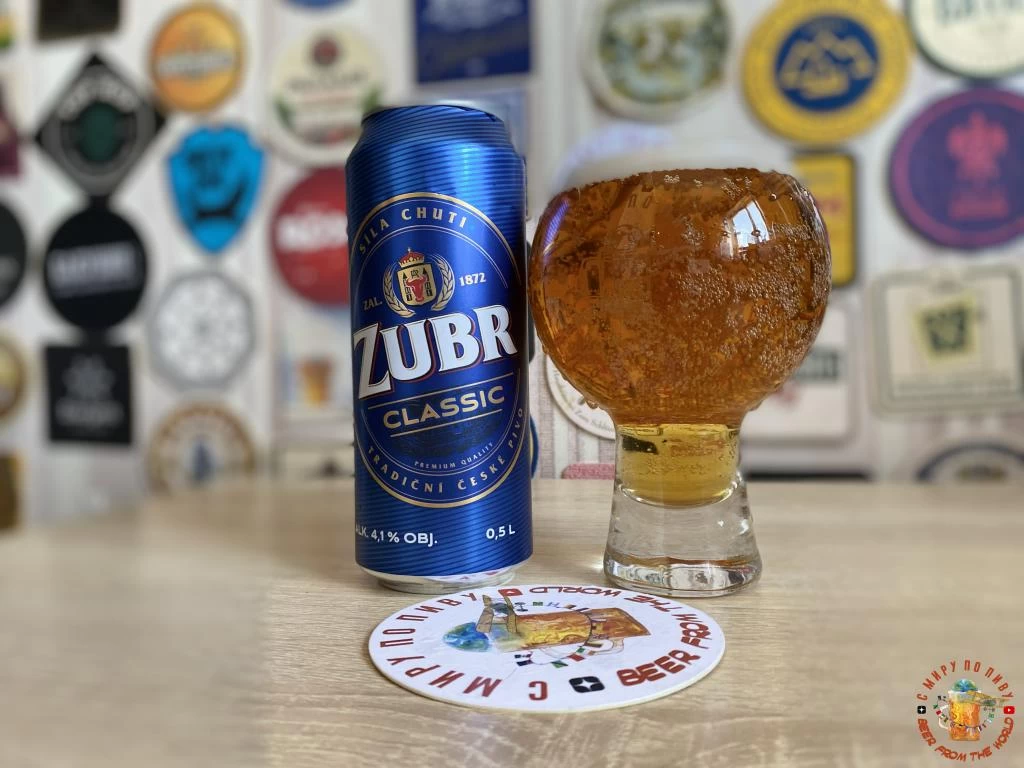 Обзор пива Zubr Classic 10